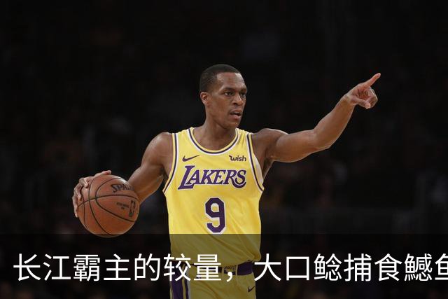 长江霸主的较量，大口鲶捕食鱤鱼，猎物卡嘴无法脱身，双双殒命